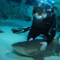 Aquatopia